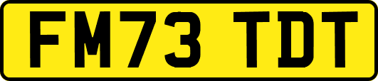 FM73TDT