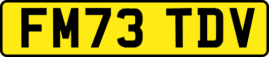 FM73TDV