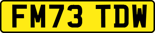 FM73TDW