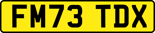 FM73TDX