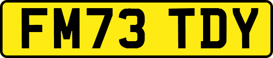 FM73TDY