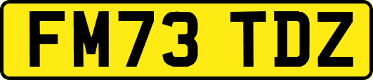 FM73TDZ