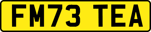 FM73TEA