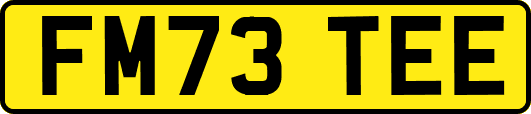 FM73TEE