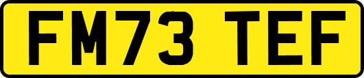 FM73TEF