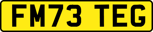 FM73TEG