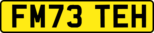 FM73TEH