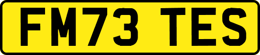 FM73TES