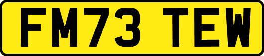 FM73TEW