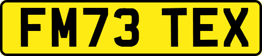 FM73TEX