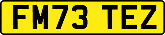 FM73TEZ