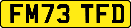 FM73TFD