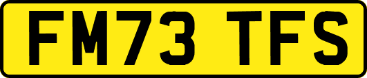FM73TFS
