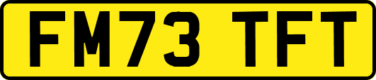 FM73TFT