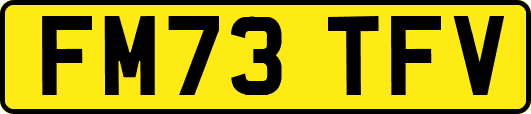 FM73TFV