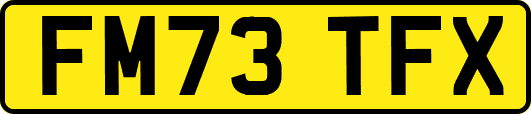 FM73TFX