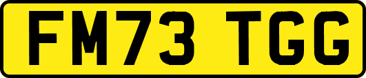 FM73TGG