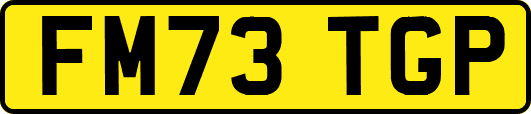 FM73TGP