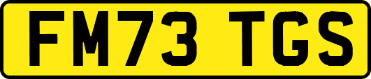 FM73TGS