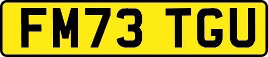 FM73TGU