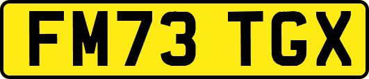 FM73TGX