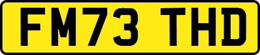 FM73THD