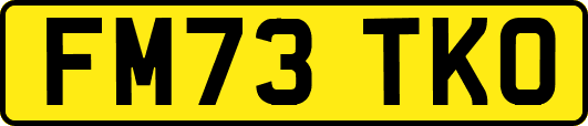 FM73TKO