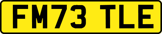 FM73TLE