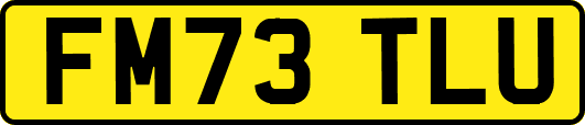 FM73TLU
