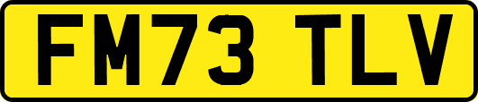 FM73TLV