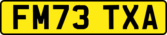 FM73TXA