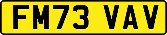 FM73VAV