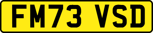 FM73VSD