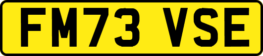 FM73VSE