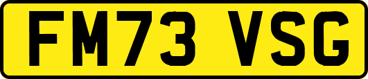 FM73VSG