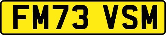FM73VSM