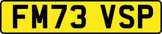 FM73VSP