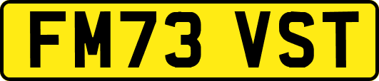 FM73VST