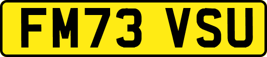 FM73VSU