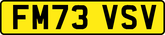 FM73VSV