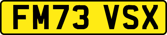 FM73VSX