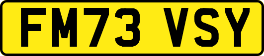 FM73VSY