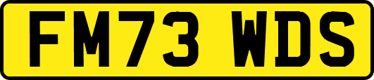 FM73WDS