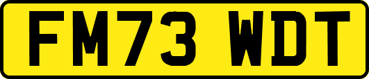 FM73WDT