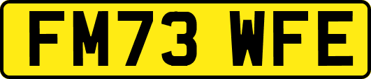 FM73WFE