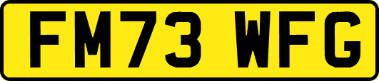 FM73WFG