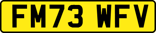 FM73WFV