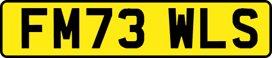 FM73WLS