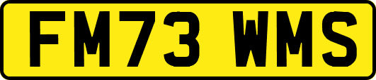FM73WMS