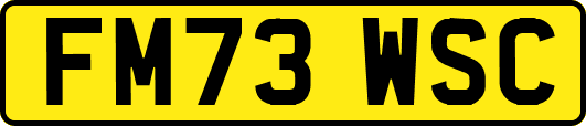 FM73WSC